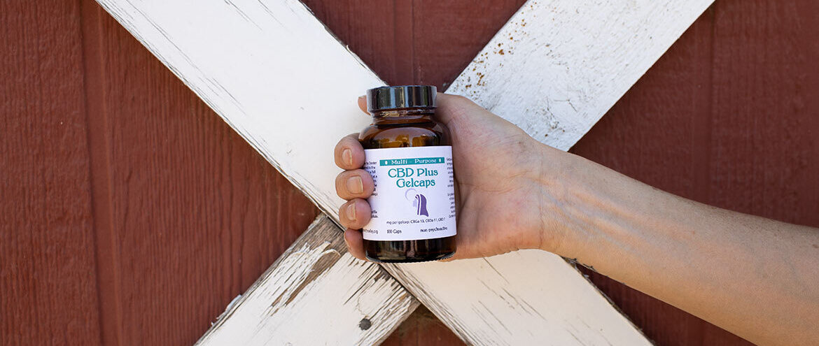 7 Best CBD Stores in 2026 — Farm-Direct, National Brands & Top Dispensaries Ranked